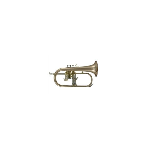 Roy Benson Fliscorne FH302G Dourado