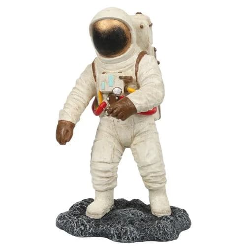 Ebi Astronauta para Aquários