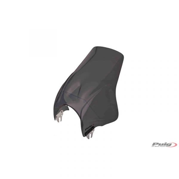 Puig Para-brisas 4620F