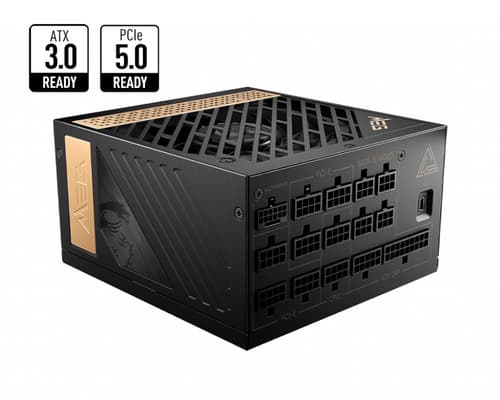 MSI MEG A1300P PCIE5 1300W 80+ Platinum - 306-7ZP4A11-CE0