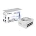 Gigabyte AORUS Elite P1000W 1000W 80 Plus Platinum Modular Fonte de Alimentação White ICE