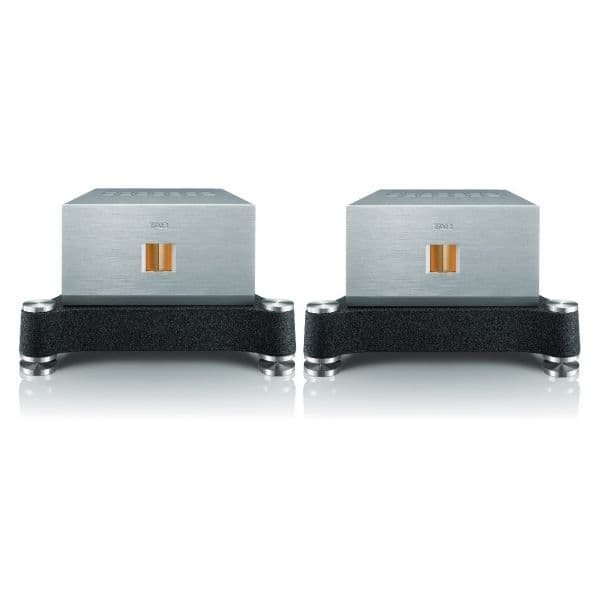 TAD Amplificador Mono M600 (Par)