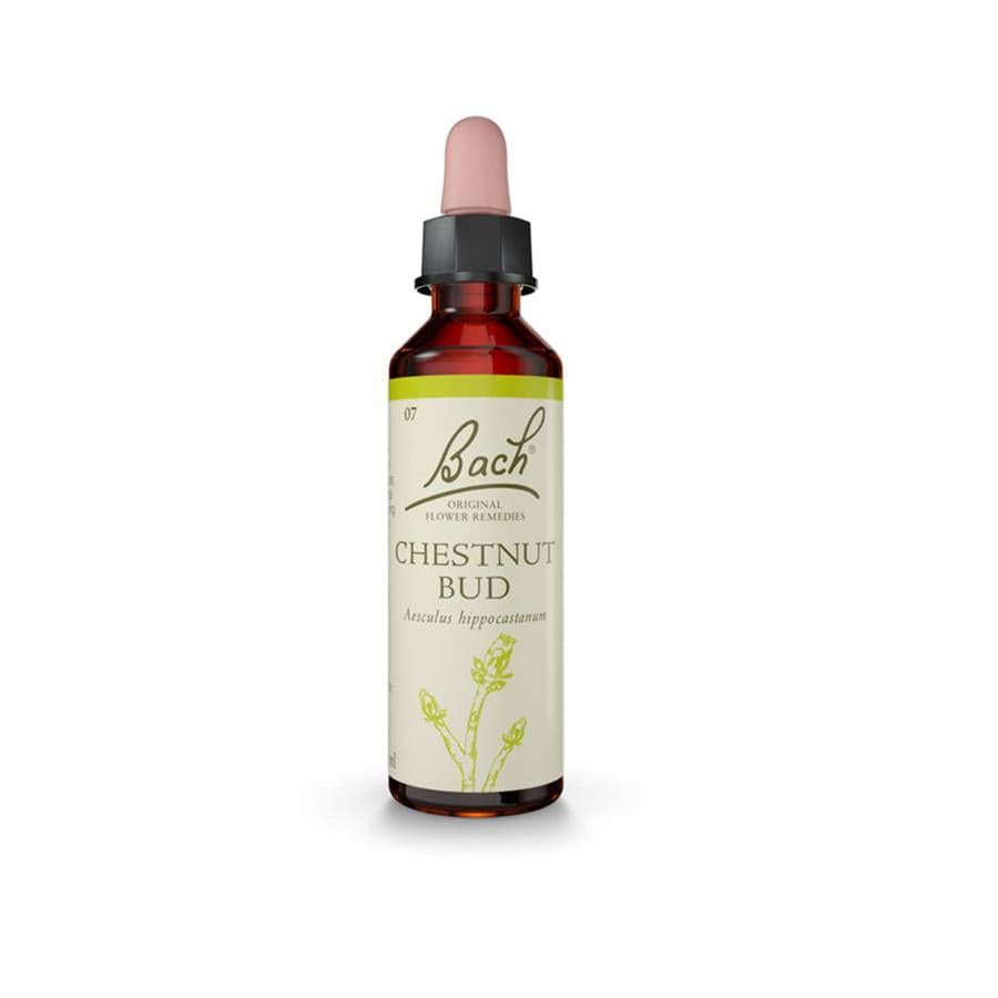 Floral de Bach Chestnut Bud (Sabedoria) 20ml