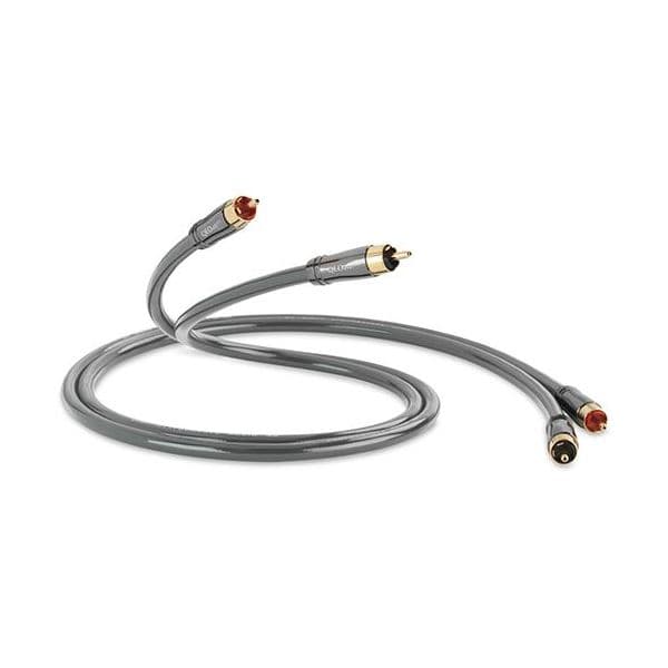 Qed Cabo RCA QED Performance Audio 40i 1m