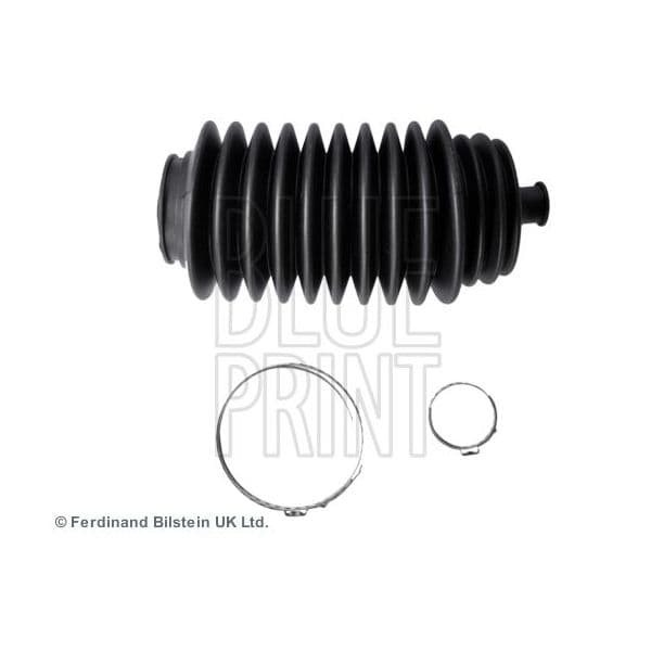 Blue Print Fole, Direc? ADN181504