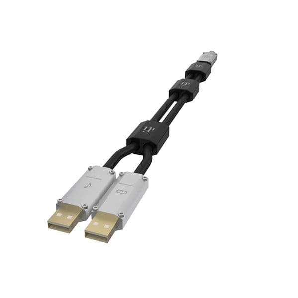 iFi cabo USB iFi Gemini 0,7m