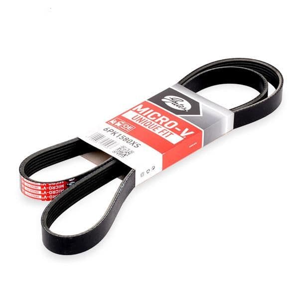 Gates Correia Trapezoidal Estriada (305/12334) - 6PK1580XS