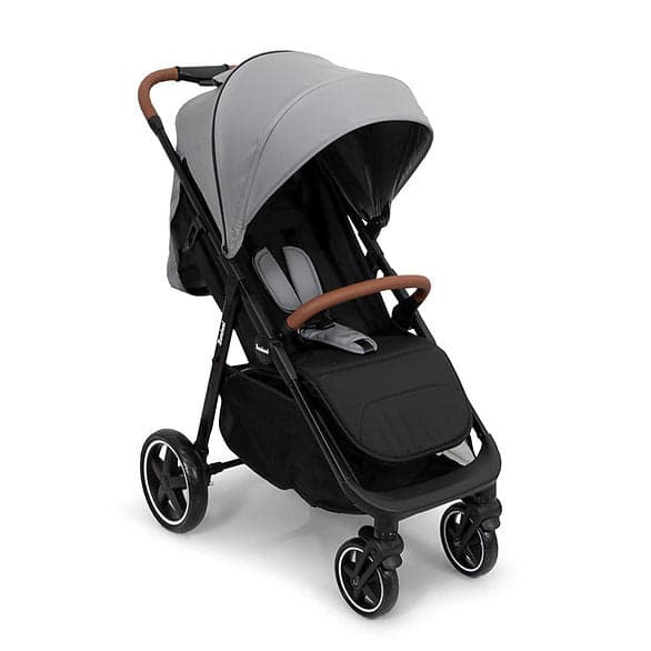Carrinho de passeio Ditta Gray Baninni