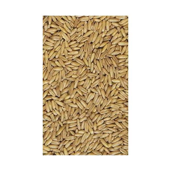 Versele Laga Semente Aveia Descascada 25kg