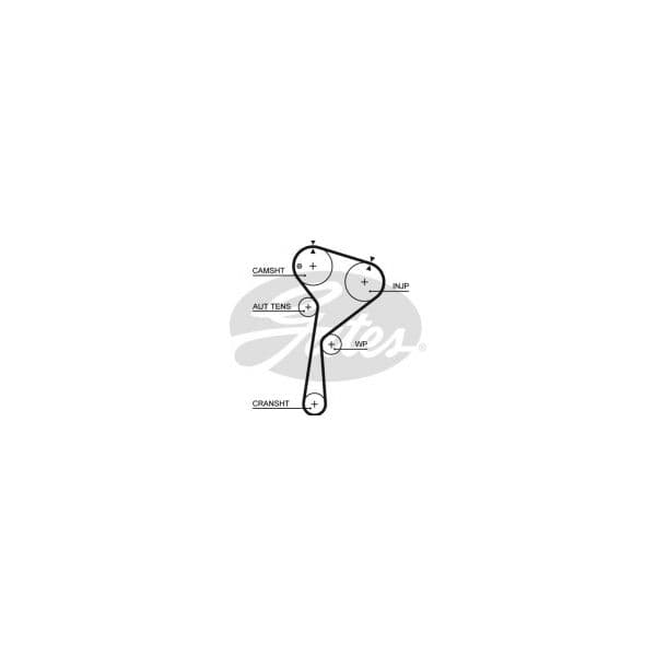 Gates 5578XS - Correia dentada - 5414465150036