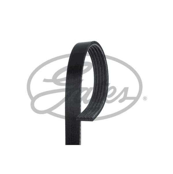 Gates Correia Trapezoidal Estriada - 5PK1680