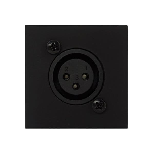 Audac Platine de Ligação XLR F CP45XLF com Espelho Black