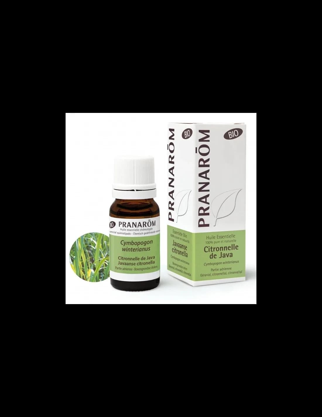 Óleo Essencial Citronela de Java BIO 10ml