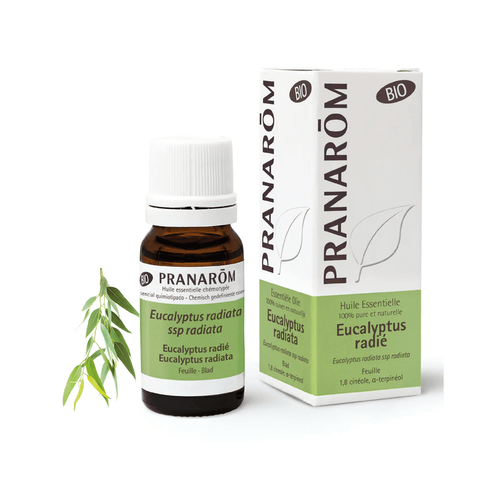 Pranarom Óleo Essencial Eucalipto Radiata 10mL
