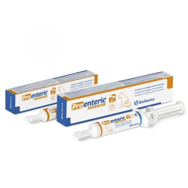Bioiberica Pro-Enteric Advanced Cão 30ml