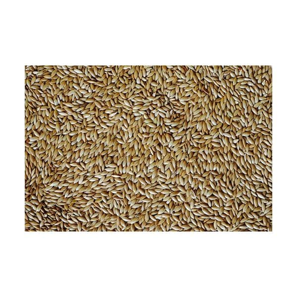 Canto Alegre Alpista Limpa 1Kg