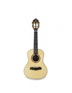 APC BRO Luthier