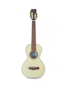 APC RAJ Luthier