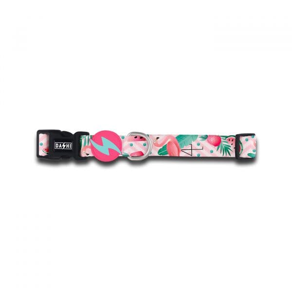 Dashi Coleira Flamingo XS
