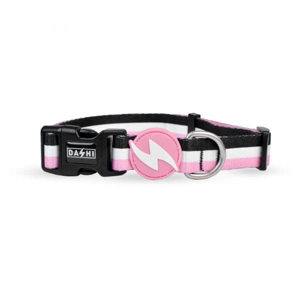 Dashi Coleira Stripes³ Pink & Black XS