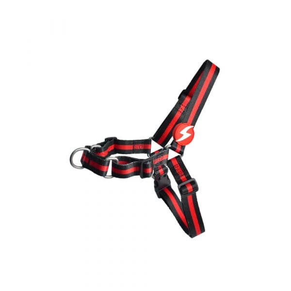 Dashi Peitoral Frontal Stripes Red & Black M