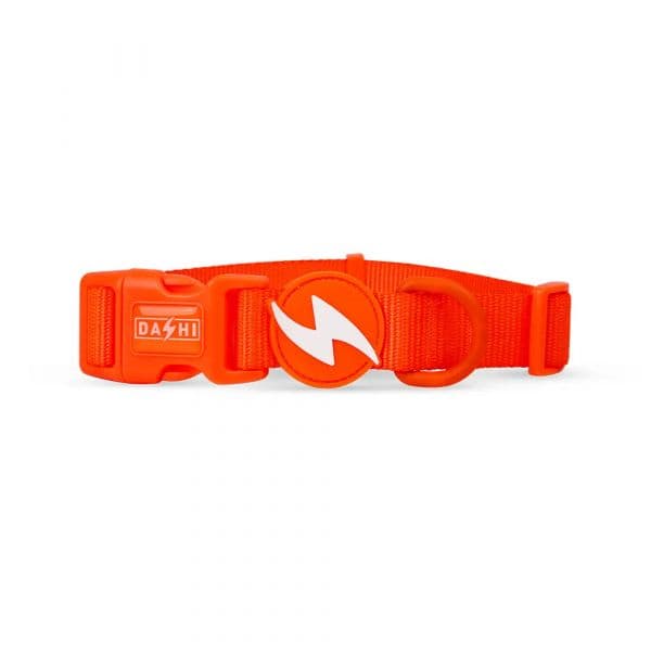 Dashi Coleira Neon L Laranja