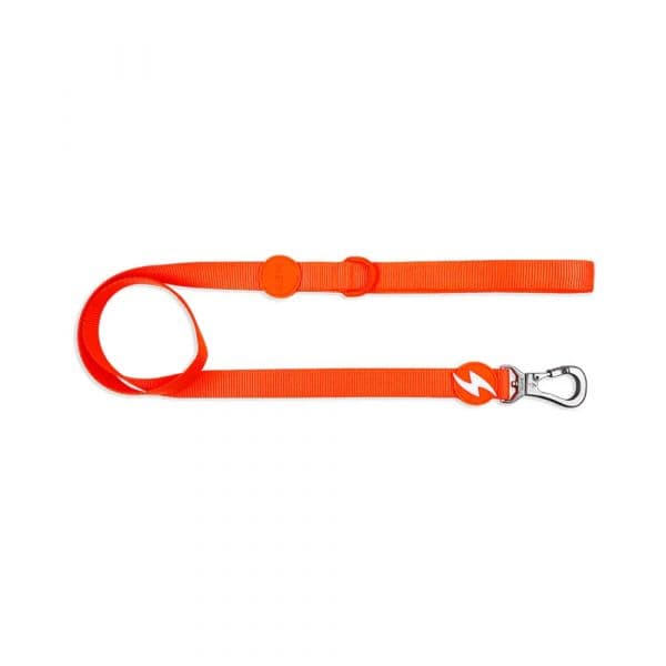 Dashi Trela Neon XS Laranja