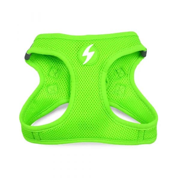 Dashi Oxy Mesh Neon Verde Lima L