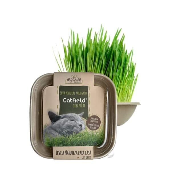 Catfield Green Cat Erva Natural para Gato - Campet