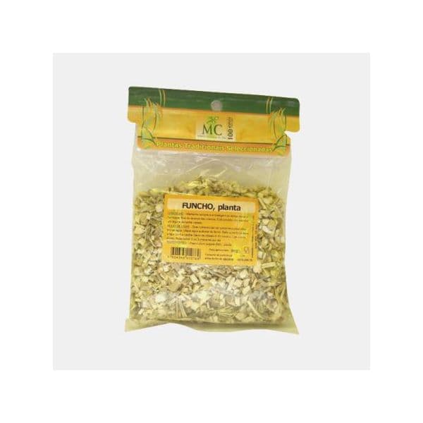 Morais e Costa Funcho, Planta 80g