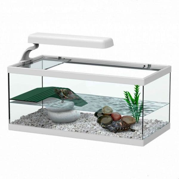 Aquatlantis Terrário Tartaruga Tortum 40 Branco