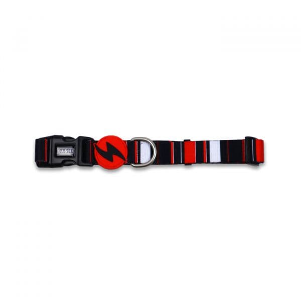 Dashi Coleira Slide XS