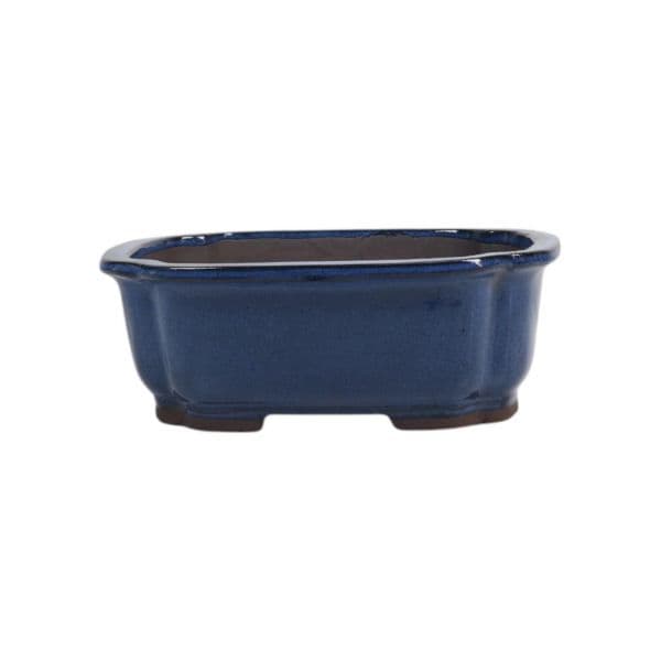 Luso Bonsai Vaso de Bonsai Oval 29*25*10 cm Azul - Yixing - 06595