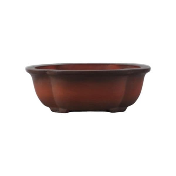 Luso Bonsai Vaso de Bonsai Oval 37*28*13 cm Degradê - Yixing - 06847