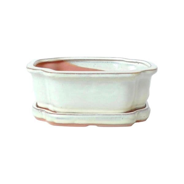 Luso Bonsai Vaso de Bonsai Oval + Prato 20*15*6.5 cm Creme - Yixing - 83553