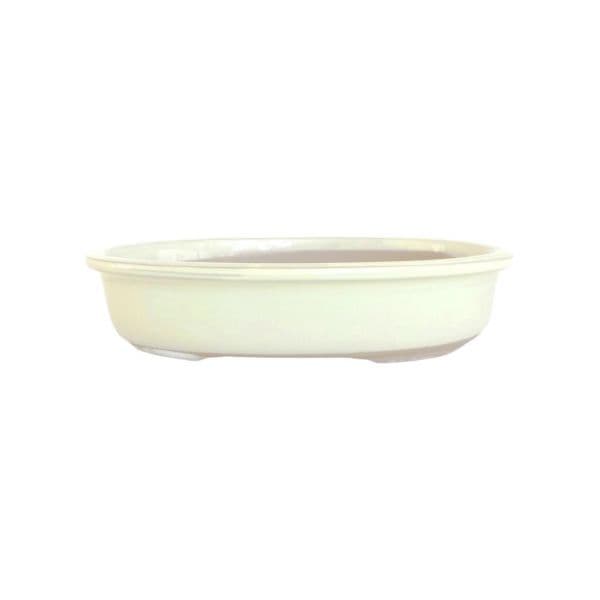 Luso Bonsai Vaso de Bonsai Oval 41*33*6 cm Creme - Japão - 84073
