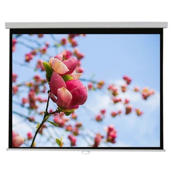 Cimascreen Tela Elétrica Com Comando CILP180