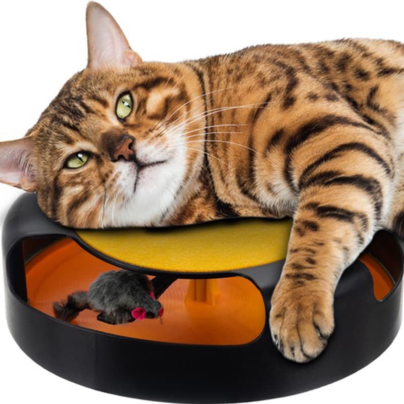 Brinquedo para Gatos “Apanhar o Rato”