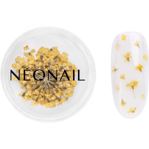 Neonail Dried Flowers Flores Secas para Unhas Tom 07 Yellow 1 Unidade