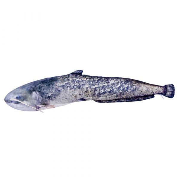 Gaby The Catfish Giant Blue / White - GP-175167