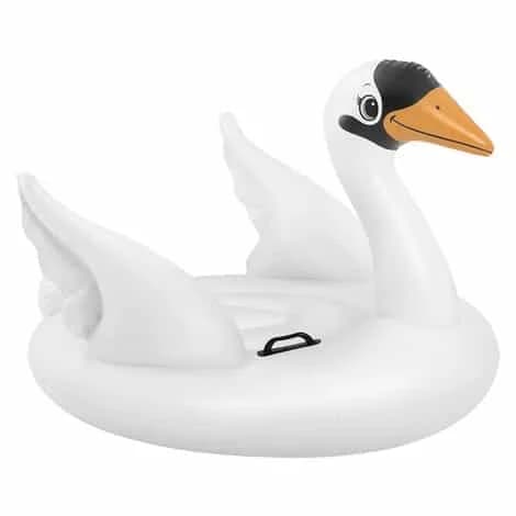 EDM Boia Cisne Médio 130x102x99cm