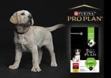 Pro Plan Dog Large Athletic Puppy Chicken – 3 kg