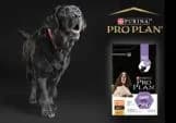 Purina Pro Plan Adult 7+ Medium & Large Age Defence Chicken 14Kg