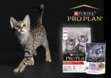 Pro Plan Cat Original Kitten Chicken – 10 kg