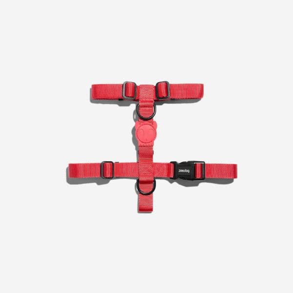 Zee.Dog Peitoral H Neon Coral L