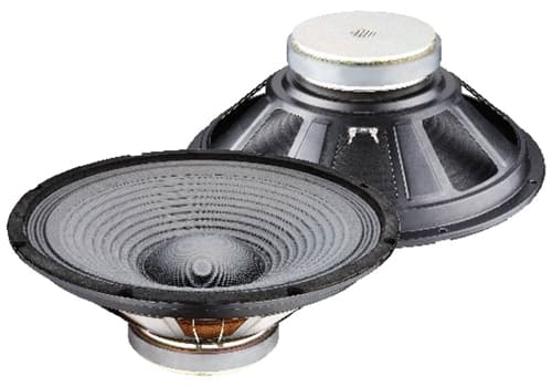 Woofer 10″ 180W 8ohm (25cm)