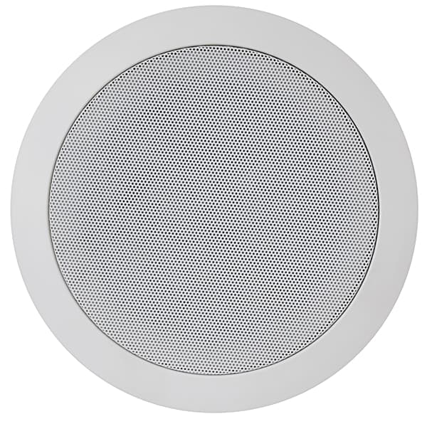 Coluna Tecto 100V 5″ 12W