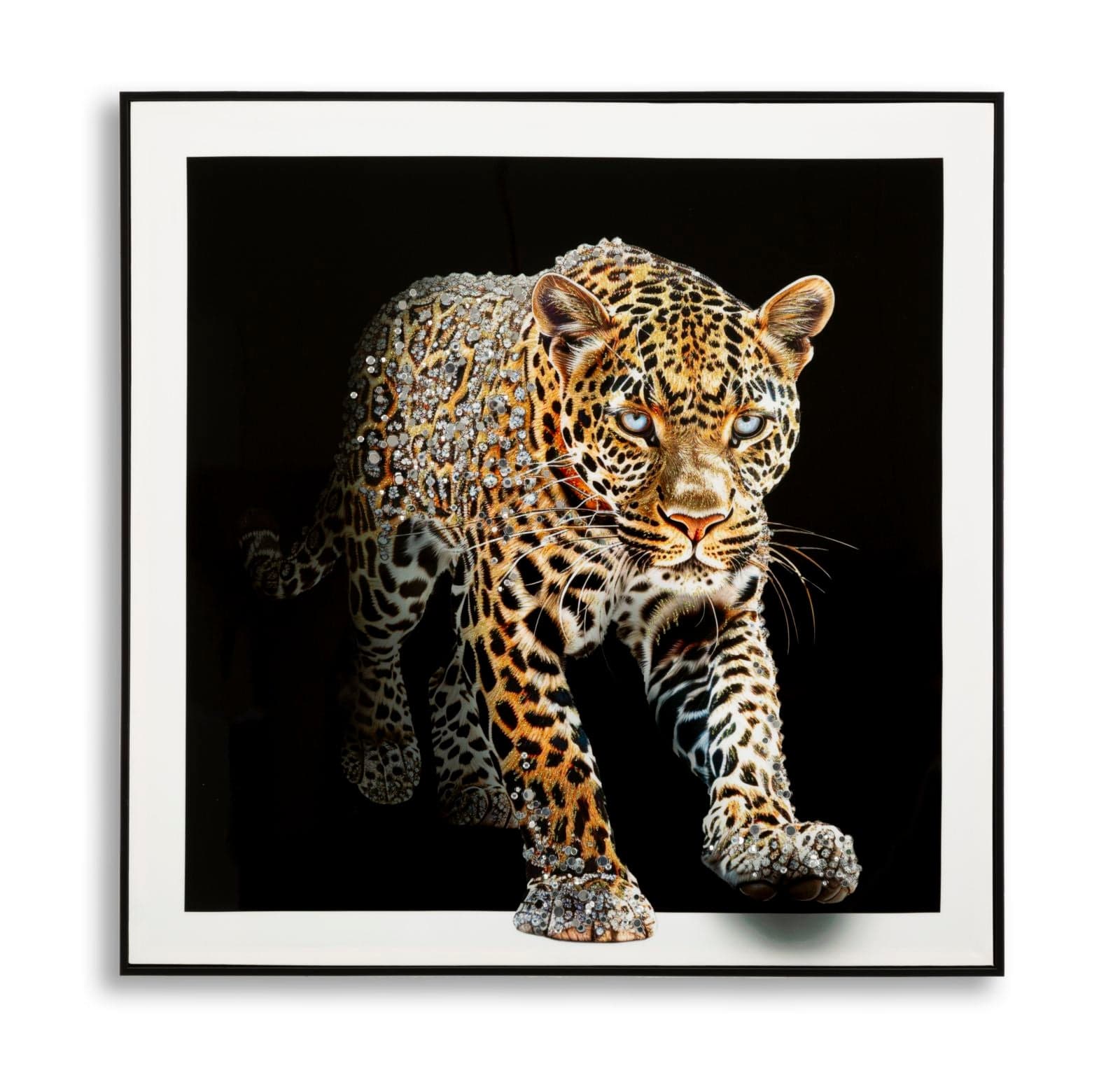 Pintura Sobre Tela Lacado Giaguaro com Moldura -A- Cm 82x4x82