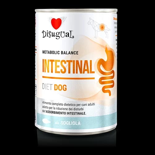 Disugual Diet Intestinal Cão - Ração húmida para cão com problemas intestinais