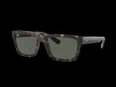 Ray-Ban Warren RB4396 135971